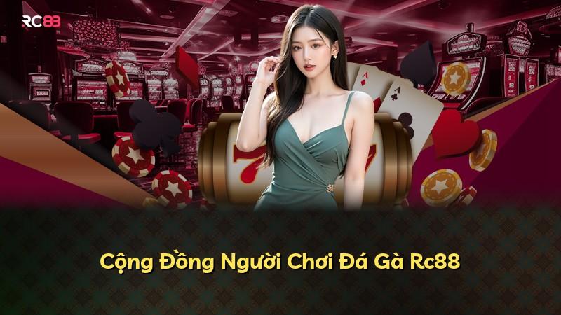 Cộng Đồng Người Chơi Đá Gà Rc88